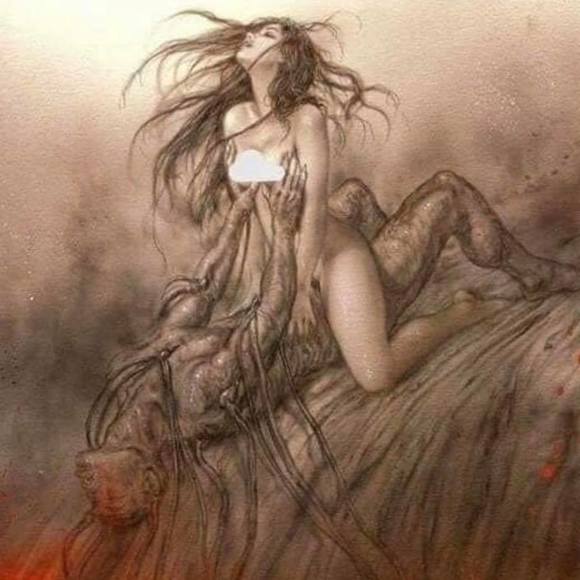 Meet your Posher, Felix - Picture 1 of 1